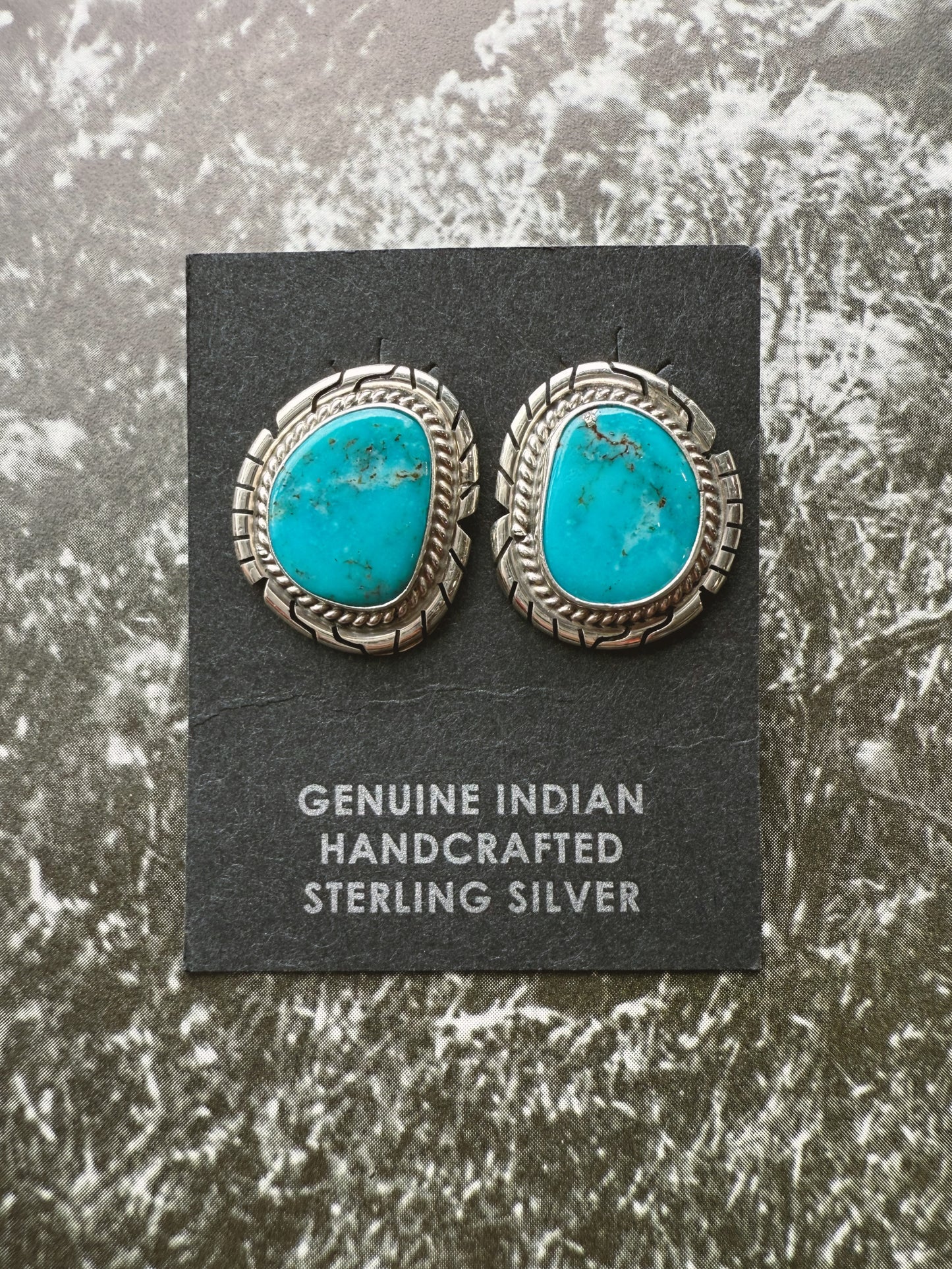 Kingman Turquoise New Mexico Stud Earrings