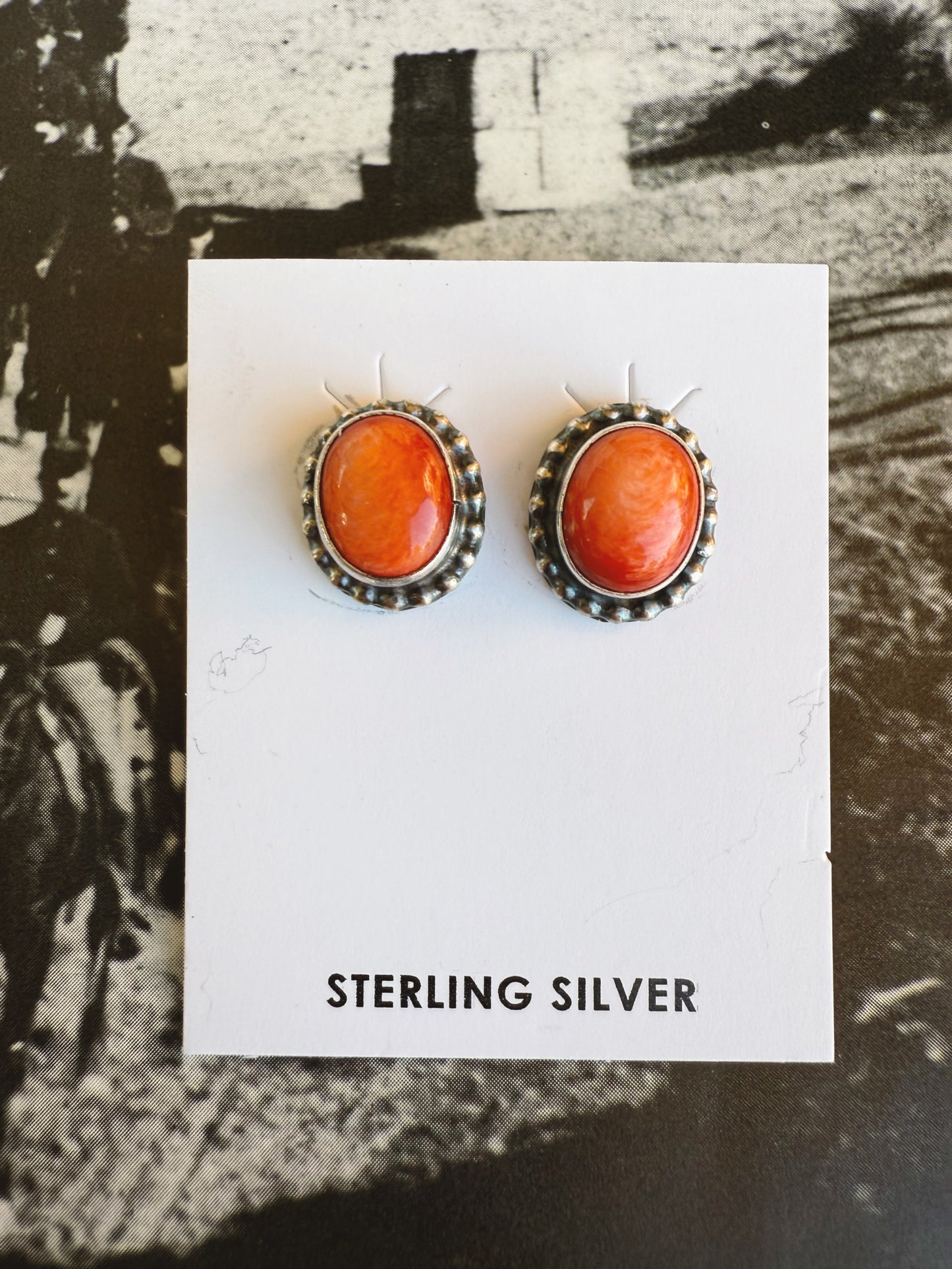 Spiny Oyster Desert Stud Earrings