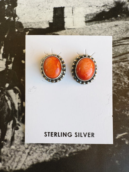 Spiny Oyster Desert Stud Earrings